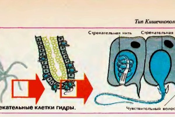 Как заказать на кракене