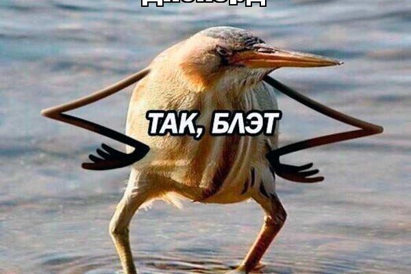 Актуальный домен кракена
