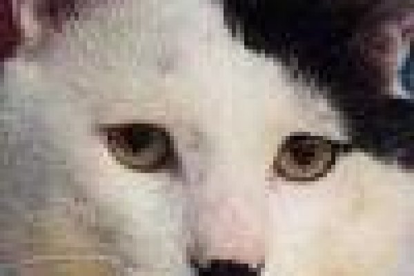 Кракен сайт kr2web