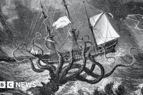 Kraken kraken link24 info
